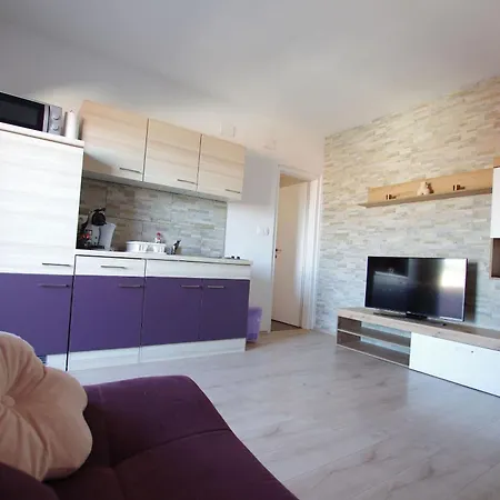 公寓 Branko 塞尔瑟